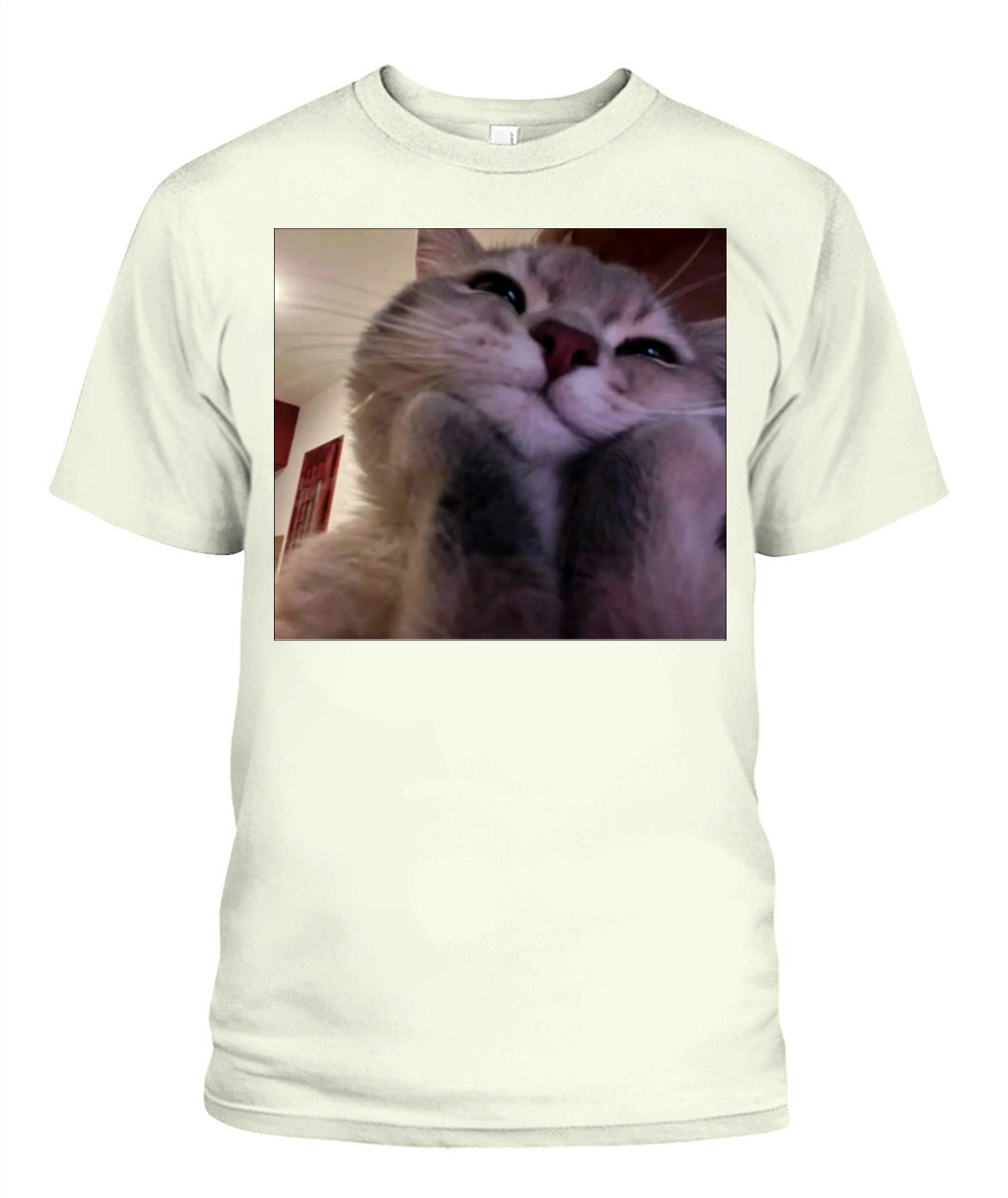 Unisex T-Shirt | Next Level 3600